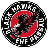 EHF Passau Black Hawks – U9